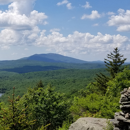 Land Protection and Forest Management